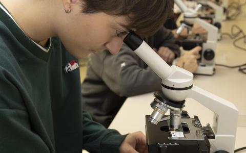 Laboratori